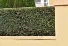 Tocal QLDhard-landscaping-surfaces-8.jpg; ?>